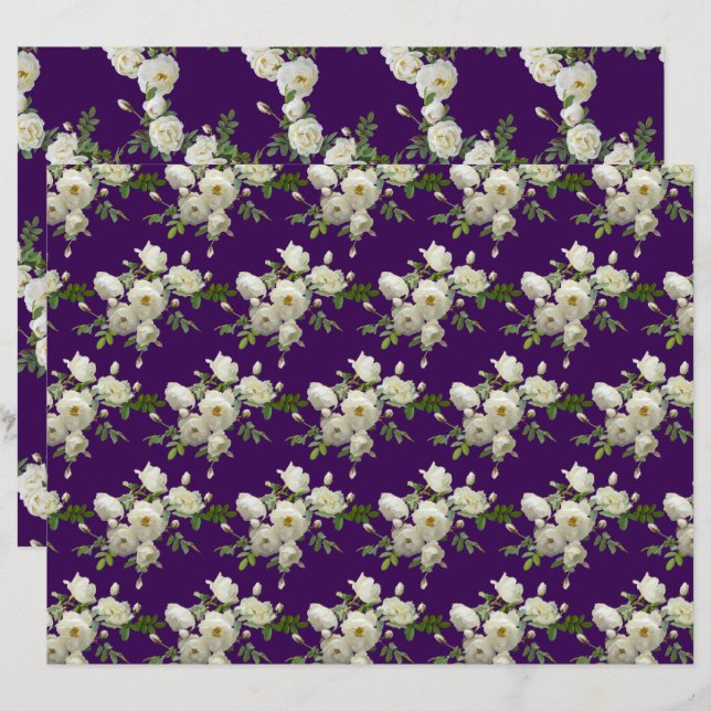 Bijtakken van het Witte Patroon van Rozen (Voorkant / Achterkant)