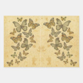  bijtende vlinderbloemvliegen inpakpapier vel (Voorkant 2)