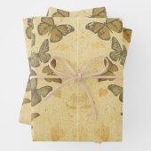  bijtende vlinderbloemvliegen inpakpapier vel (In situ)