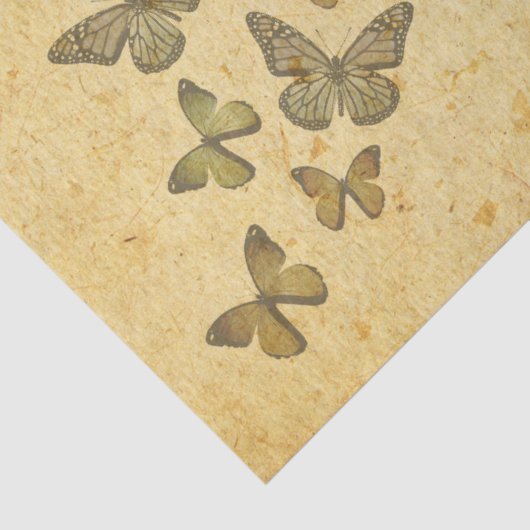  bijtende vlinderbloemvliegen tissuepapier (Detail)