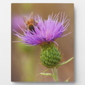 Bijtje op paarse distel fotoplaat (Voorkant)