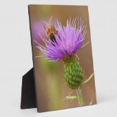 Bijtje op paarse distel fotoplaat (Zijkant)