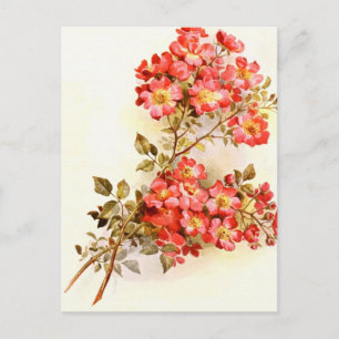 Bijvoegen met rozen bloemen, aangepast briefkaart