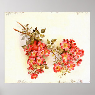 Bijvoegen met rozen bloemen, aangepast poster