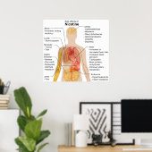Bijwerkingen van Nicotine op het menselijk lichaam Poster (Thuiskantoor)