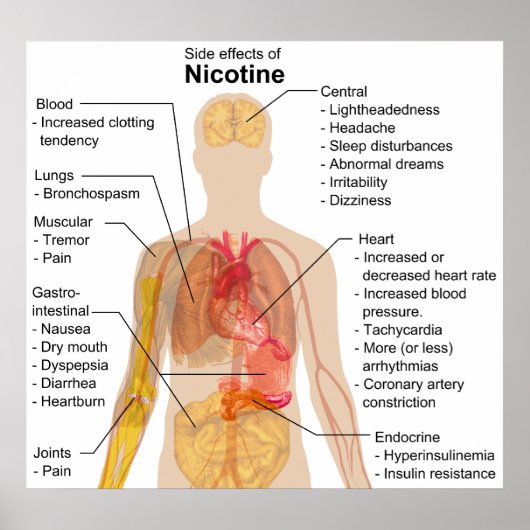 Bijwerkingen van Nicotine op het menselijk lichaam Poster (Voorkant)