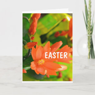 **BIJZONDERE EENVOUDIGERE WENSEN AAN U** KAART