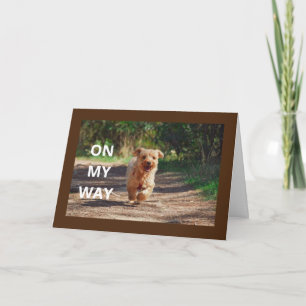 **BIJZONDERE Kaart VAN DE BABY VAN DE HOOGTE