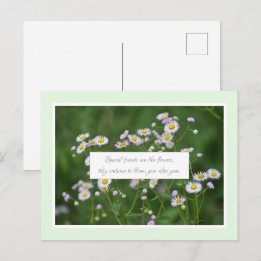 Bijzondere vriendschap briefkaart (Voorkant / Achterkant)