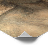 Bijzonderheden over de hoofden van de Maagd en de  Poster (Hoek)