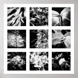 Bijzonderheden over de reeks Naturen - Bloemen 2 Poster