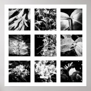 Bijzonderheden over de reeks Naturen - Bloemen 2 Poster