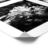 Bijzonderheden over de reeks Naturen - Bloemen 2 Poster (Hoek)