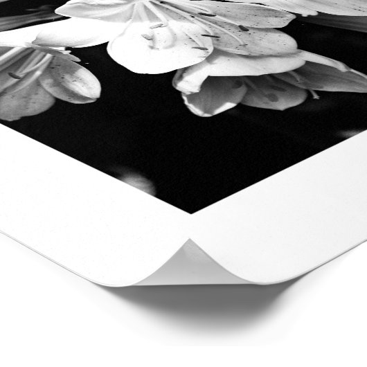 Bijzonderheden over de reeks Naturen - poster bloe (Hoek)