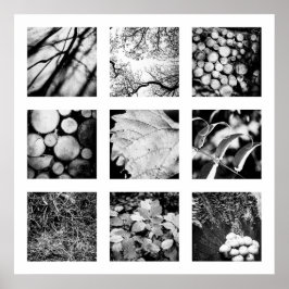 Bijzonderheden over de reeks Naturen - poster bos