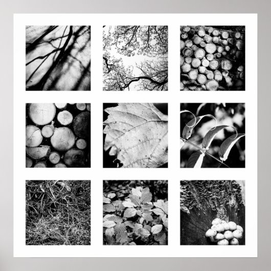 Bijzonderheden over de reeks Naturen - poster bos (Voorkant)