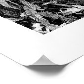 Bijzonderheden over de reeks Naturen - poster Fern (Hoek)