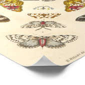 Bijzonderheden van Bord IV Poster (Hoek)