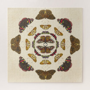 Bijzonderheden van Bord VII Legpuzzel