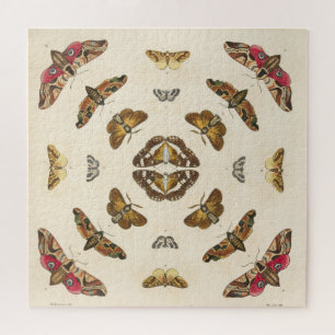 Bijzonderheden van Bord VIII Legpuzzel