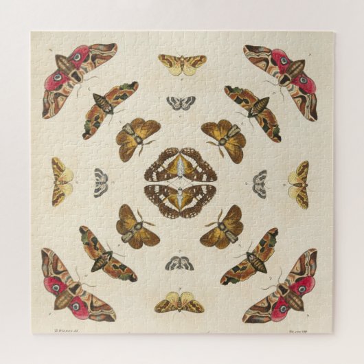 Bijzonderheden van Bord VIII Legpuzzel (Horizontaal)