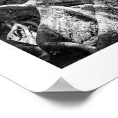 Bijzonderheden van de reeks Naturen - poster worte (Hoek)