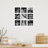 Bijzonderheden van de reeks Naturen - poster worte (Keuken)