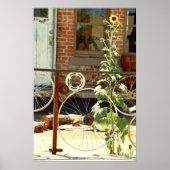 Bike Fence Poster (Voorkant)