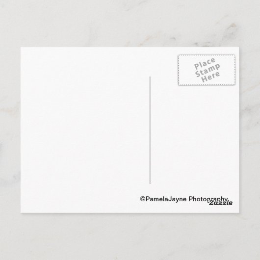 Bike in rust - La Rochelle Briefkaart (Achterkant)