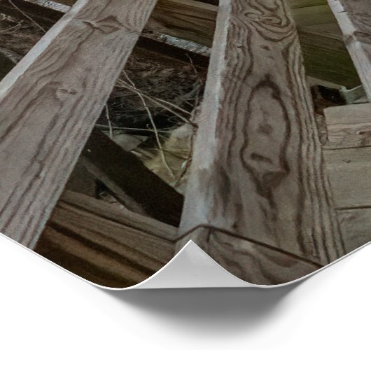 Bike Path Bridge Poster (Hoek)