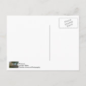 Bike Ride Down Solidarity Briefkaart (Achterkant)