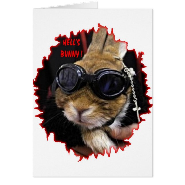 BIKER BUNNY HELL'S BUNNY (Voorkant)