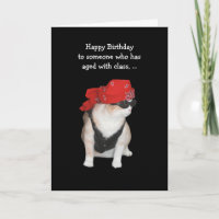 Biker Cat Birthday