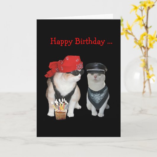 Biker Cat Birthday Kaart (Gele Bloem)