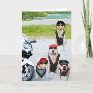  Biker Dogs Birthday Kaart