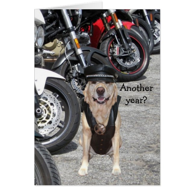  Biker Lab (Voorkant)