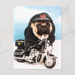 Biker Pug Dog Briefkaart