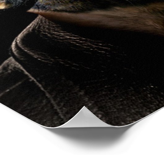 Biker Pug Poster (Hoek)