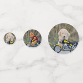 Biker Teddybeer en Hond  - Confetti (Voorkanten)