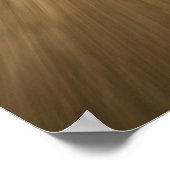 Biking Chicago's Lakefront Poster (Hoek)