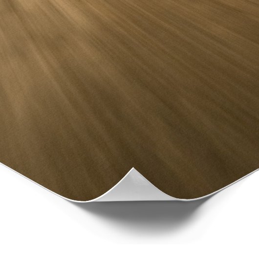 Biking Chicago's Lakefront Poster (Hoek)