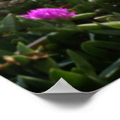 Bikini Girl Poster (Hoek)