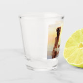 Bikini Meisje Poseren in het Zee bij zonsondergang Shot Glas (Links)