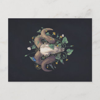 Bildserie Leben Und Tod: Schafschädel Briefkaart