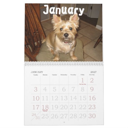 Bilgewater Calendar Kalender (Jan 2027)