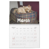 Bilgewater Calendar Kalender (Mar 2027)