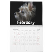 Bilgewater Calendar Kalender (Feb 2026)