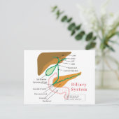 Biliaire systeemdiagram briefkaart (Staand voorkant)