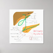 Biliaire systeemdiagram canvas afdruk (Voorkant)