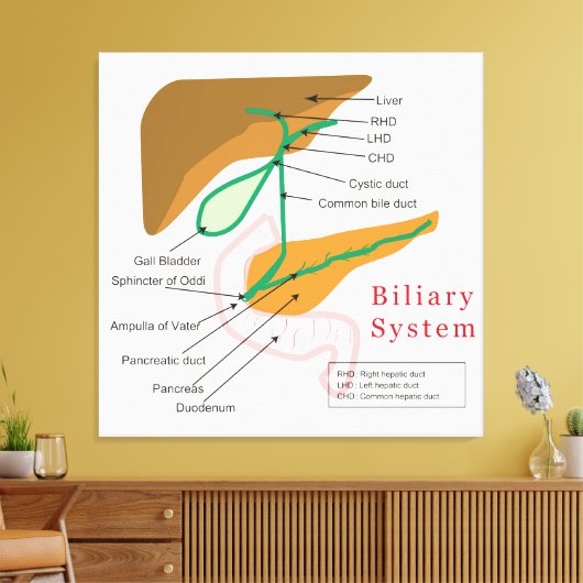 Biliaire systeemdiagram canvas afdruk (Insitu (Woonkamer))